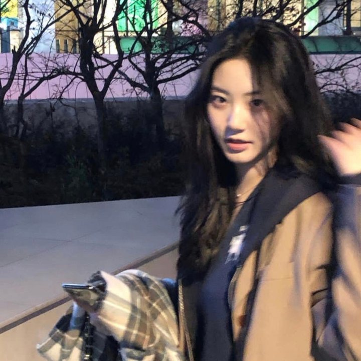 顺风鱼
